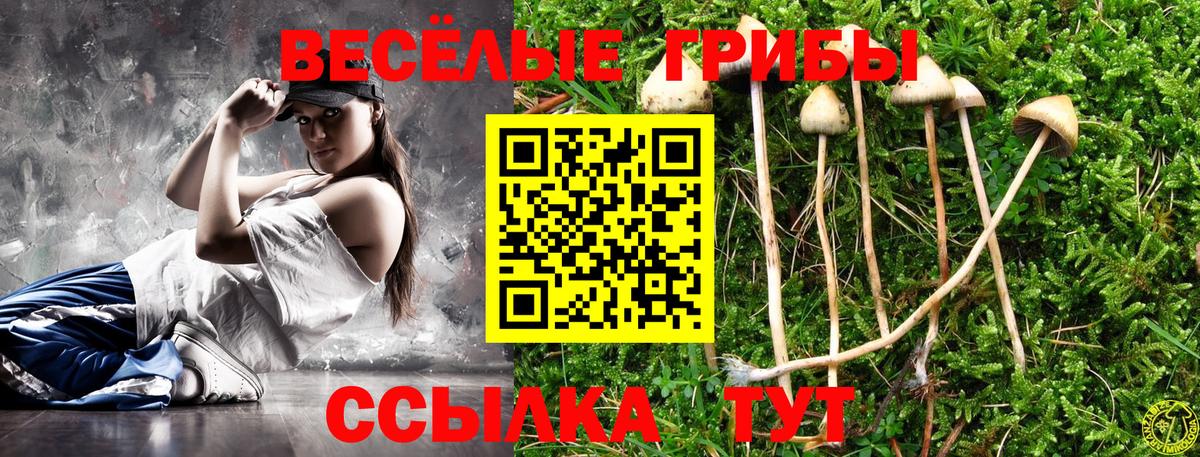 Мытищи  закладка  Вход с VPN  Псилоцибиновые грибы MAGIC MUSHROOMS 